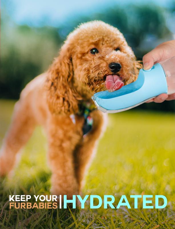Pawp™ 3 in 1 Pet Bottle